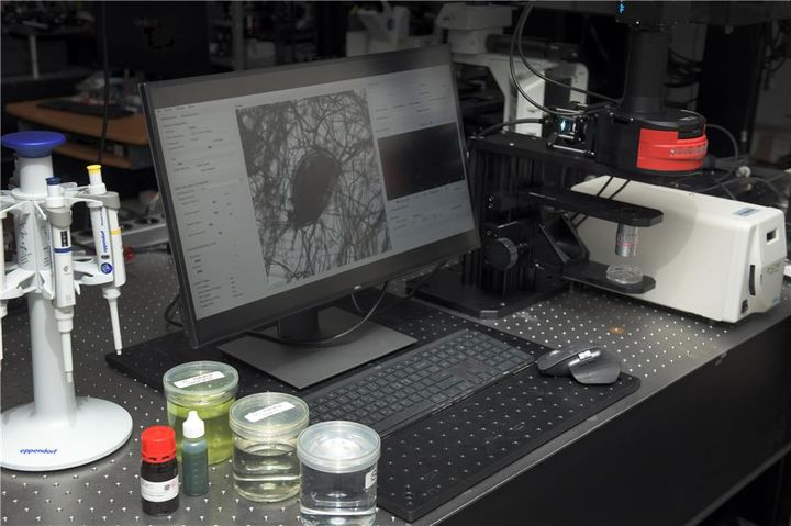 [대전=뉴시스] KRISS가 개발한 물벼룩 심박수 자동 측정·분석 시스템으로 물벼룩의 심박수를 측정하는 모습.(사진= KRISS 제공) *재판매 및 DB 금지