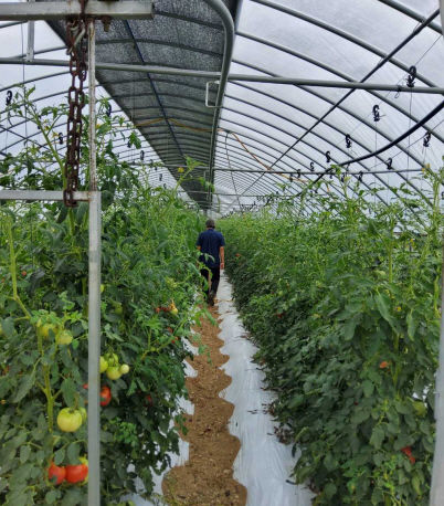 [괴산소식]군, 지방세 징수 우수기관 선정 등