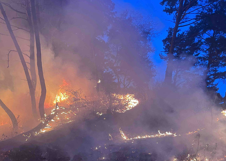 21일 오후 6시 50분경 강원 영월군 영월읍 영흥리 산78-2 인근 야산에서 산불이 발생해 소방이 현장에 출동해 진화에 나섰다.(사진=강원소방본부 제공) *재판매 및 DB 금지