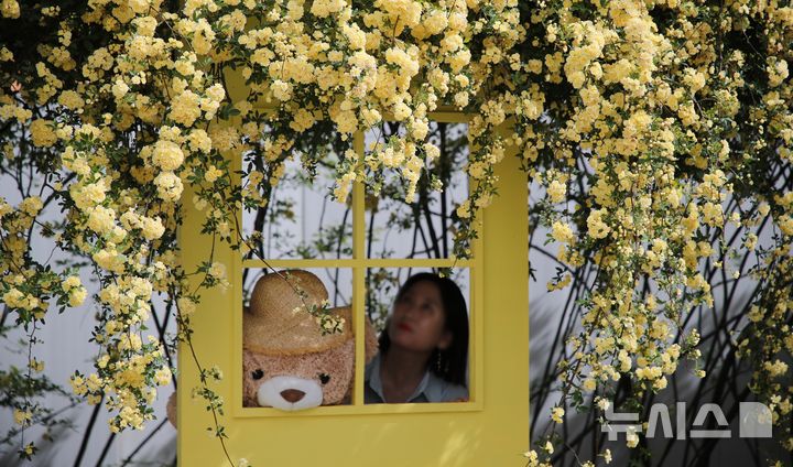 대구·경북, 황사 가고 대기질 회복…아침 6도·한낮 22도