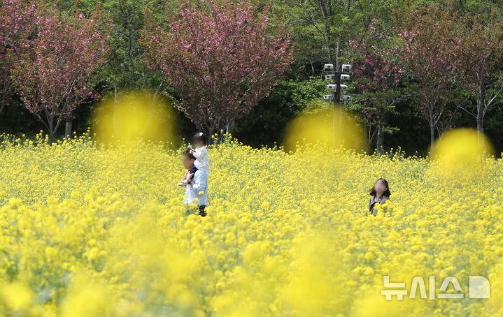 [제주=뉴시스] 우장호 기자 = 맑은 날씨를 보인 21일 오후 제주시 조천읍 에코랜드 테마파크 내 정원에 유채꽃이 만발해 관람객들의 시선을 사로 잡고 있다. 2026.04.21. woo1223@newsis.com