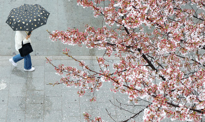 (사진=뉴시스 DB) *재판매 및 DB 금지