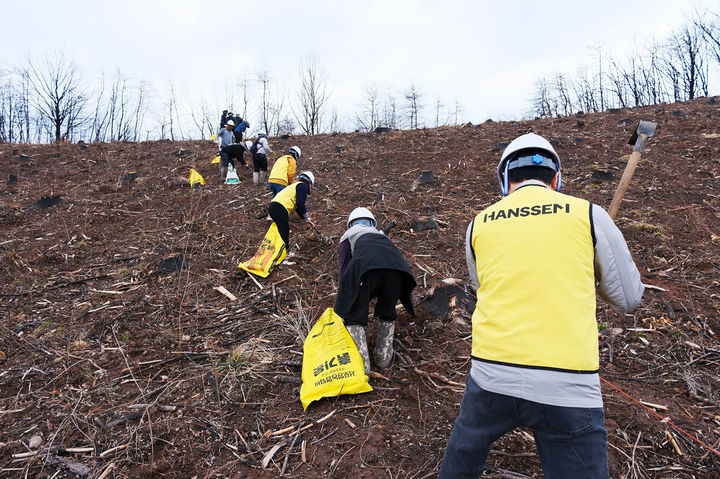 [서울=뉴시스]한샘, 안동에 한샘숲 3호 조성.(사진=한샘 제공) 2026.04.22. photo@newsis.com *재판매 및 DB 금지