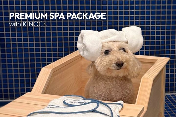 [서울=뉴시스] 키녹의 반려동물 전용 온천수 스파 패키지. (사진=교원 제공) 2026.04.22. photo@newsis.com *재판매 및 DB 금지