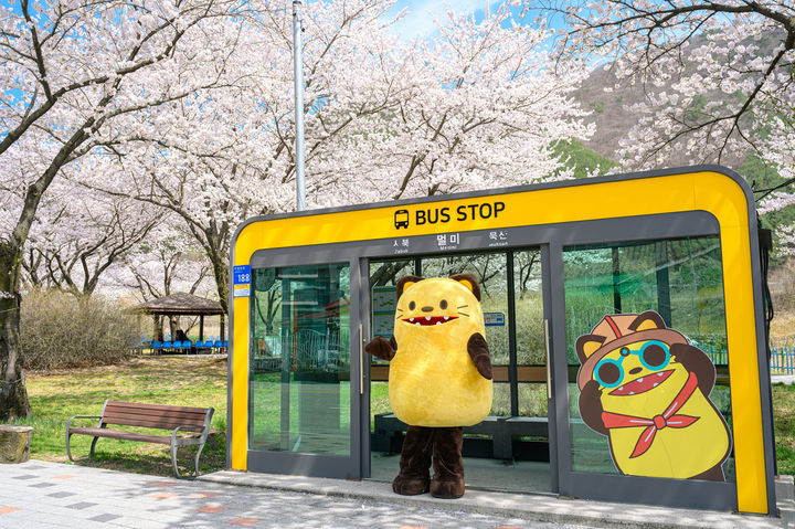 정선군 와와버스 정류장.(사진=정선군 제공) *재판매 및 DB 금지