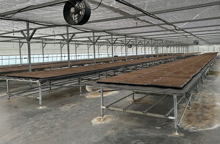 정선군 꽃묘 육묘장 전경.(사진=정선군 제공) *재판매 및 DB 금지