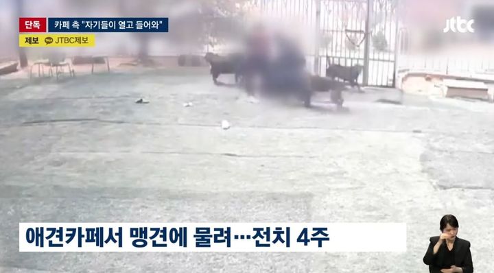 [서울=뉴시스] 경기 고양시 애견카페에서 한 20대 여성이 맹견에게 공격당한 사건이 발생했다. (사진=JTBC) *재판매 및 DB 금지
