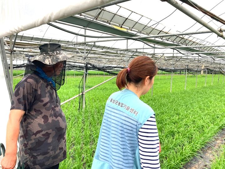 [횡성=뉴시스] 현장기술지원단이 농가를 방문해 적정 시비 기술지도를 하고 있다. (사진=횡성군 제공) 2026.04.22. photo@newsis.com *재판매 및 DB 금지