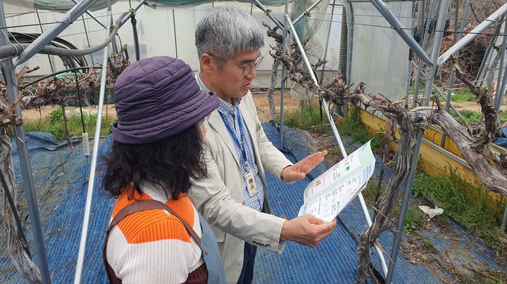 [횡성=뉴시스] 비료 사용 절감과 적정 시비를 위한 현장기술지원단 지도 모습. (사진=횡성군 제공) 2026.04.22. photo@newsis.com *재판매 및 DB 금지