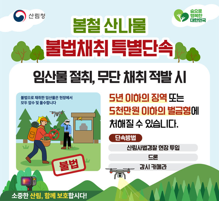 [대전=뉴시스] 산림청이 5월 말까지 봄철 산나물 불법채취를 집중 단속한다.(사진=산림청 제공) *재판매 및 DB 금지