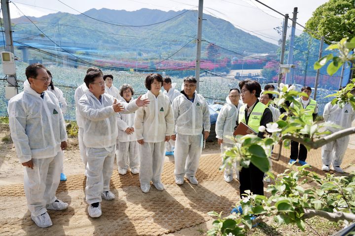 [안동=뉴시스] 이승돈 농촌진흥청장과 조영숙 경북농기원장 등이 22일 영주시의 한 사과원에서 과수화상병 약제 방제 추진 상황을 점검하고 있다. (사진=경북도 제공) 2026.04.22. photo@newsis.com *재판매 및 DB 금지