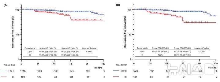 [서울=뉴시스] 카플란-마이어 분석 생존곡선(Kaplan–Meier curves). 조직학적 등급에 따라 1등급과 2등급은 푸른색으로, 3등급은 붉은색으로 표현함. A는 전체 연구 대상 1944명을 연구한 결과로, 조직학적 등급이 높으면 무재발 생존 기간이 상대적으로 줄어듦. B는 50세 이하 젊은 환자 1146명을 연구한 결과로, 이 역시 조직학적 등급이 높으면 무재발 생존 기간이 상대적으로 줄어들었음. (사진= 강남세브란스 제공)