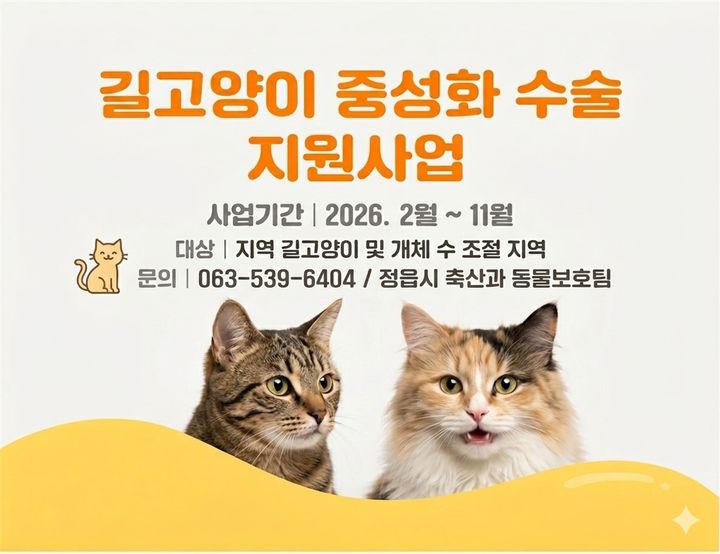  *재판매 및 DB 금지