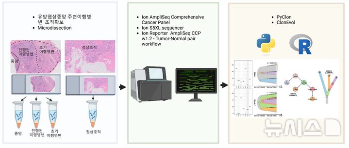 [서울=뉴시스] 강준 서울성모병원 병리과 교수 '유방 엽상종양의 재발위험 인자로 주변 이행 병변' 연구 이미지. (사진= 서울성모병원 제공)