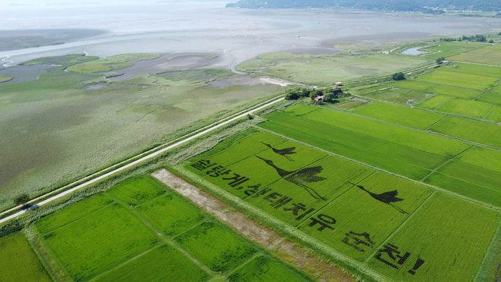 [순천=뉴시스] 순천만습지가 보이고 있다. (사진=순천만 제공) 2026.04.23. photo@newsis.com *재판매 및 DB 금지