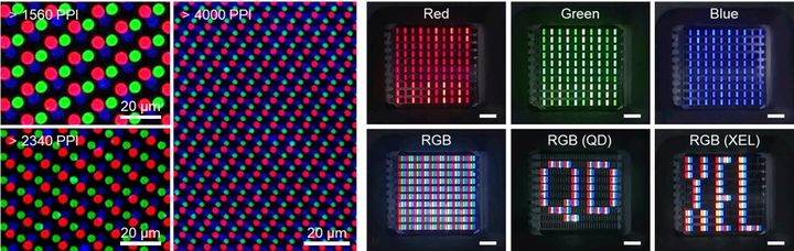 [울산=뉴시스] 형성된 RGB 퀀텀닷 패턴과 10 × 10 QD-LED 어레이 이미지 (사진=UNIST 제공) photo@newsis.com *재판매 및 DB 금지