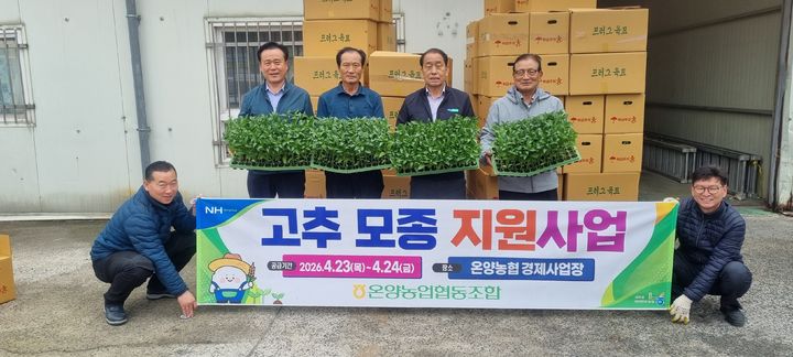 [울산=뉴시스] 울산 온양농협(조합장 전병철)이 22일부터 24일 3일간 온양농협 경제사업장에서 조합원을 대상으로 고추모종을 공급한다. (사진= 온양농협 제공) 2026.04.23.photo@newsis.com *재판매 및 DB 금지