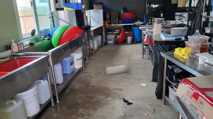 [완주=뉴시스 ]23일 오전 11시32분께 전북 완주군 고산면의 한 음식점 주방에서 음식을 조리하던 직원들이 조리를 위해 가스오븐을 작동하던 중 갑자기 쓰러지는 사고가 발생했다. 당시 직원들이 일하던 주방. (사진=전북도소방본부 제공) 2026.04.23. photo@newsis.com *재판매 및 DB 금지