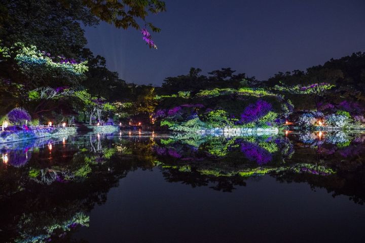 [서울=뉴시스] 창경궁 물빛연화 (사진=국가유산진흥원 제공) 2026.04.23. photo@newsis.com *재판매 및 DB 금지
