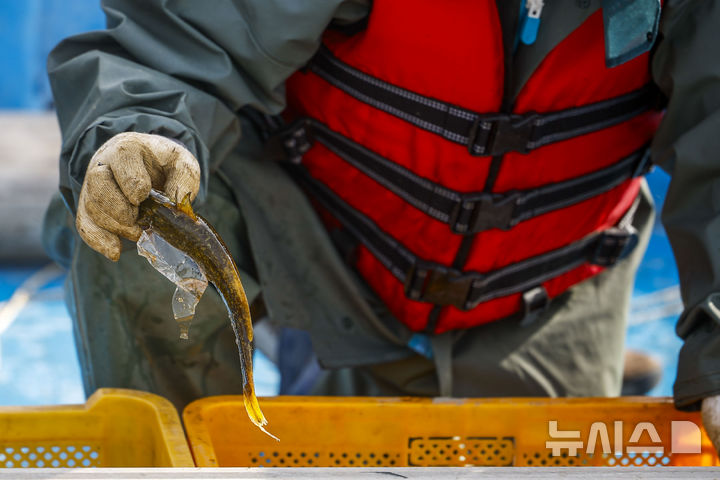 [서울=뉴시스] 정병혁 기자 = 23일 서울 영등포구 한강 밤섬 일대에서 미래한강본부 관계자들이 한강 어종조사를 하고 있다. 2026.04.23. jhope@newsis.com