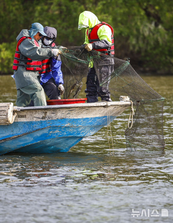 [서울=뉴시스] 정병혁 기자 = 23일 서울 영등포구 한강 밤섬 일대에서 미래한강본부 관계자들이 한강 어종조사를 하고 있다. 2026.04.23. jhope@newsis.com