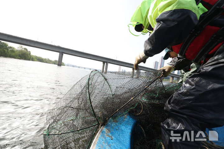 [서울=뉴시스] 정병혁 기자 = 23일 서울 영등포구 한강 밤섬 일대에서 미래한강본부 관계자들이 한강 어종조사를 하고 있다. (공동취재) 2026.04.23. photo@newsis.com