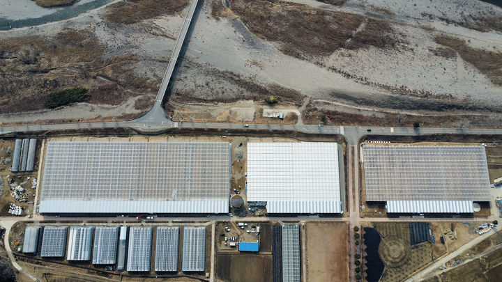 삼척시 원덕읍 산양리 일원에 조성된 스마트팜 전경.(사진=삼척시 제공) *재판매 및 DB 금지