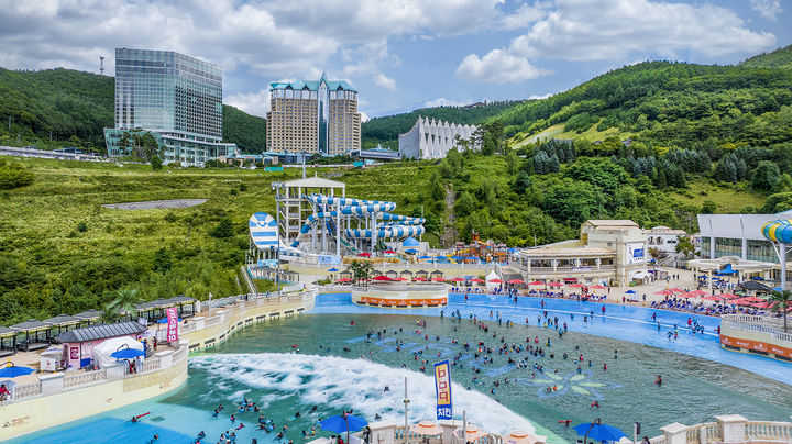 하이원 워터월드 파도풀.(사진=강원랜드 제공) *재판매 및 DB 금지