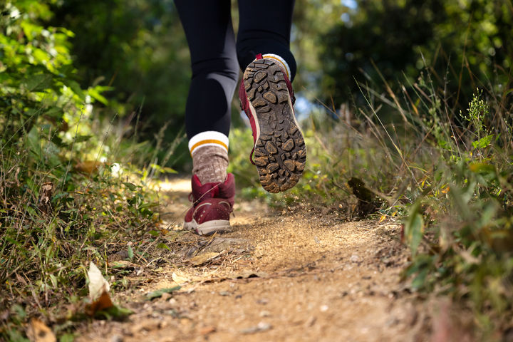 [서울=뉴시스] 홀로 산행에 나섰던 여성이 낯선 남성에게 쫓기다 가까스로 벗어났다는 사연이 전해지며 등산로 안전에 대한 우려가 커지고 있다. (사진=유토이미지)