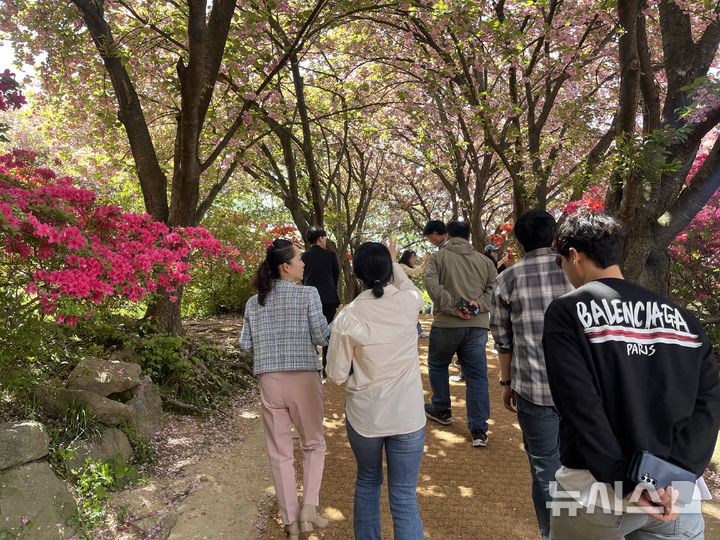 [전주=뉴시스]윤난슬 기자 = 전북 전주시는 완산공원 꽃동산에 봄꽃이 만개하면서 주말을 중심으로 방문객이 크게 늘고 있다고 24일 밝혔다. (사진=전주시 제공) photo@newsis.com 