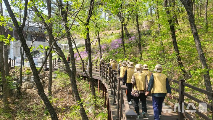 [음성=뉴시스] 음성군치매안심센터 한마음 치매극복 걷기행사