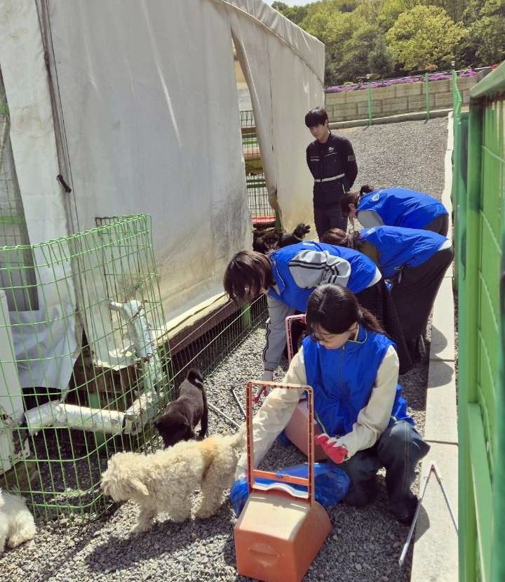 새만금개발공사 임직원들이 군산 유기동물보호센터에서 봉사활동을 펼치고 있다.(사진=공사 제공) *재판매 및 DB 금지