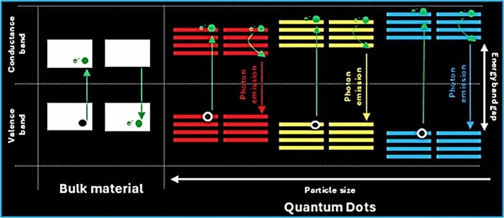 [서울=뉴시스] 세종대 모삽 카심 교수가 발표한 '입자 크기 감소에 따른 양자점의 에너지 구조 변화를 설명하는 다이어그램'. (사진=세종대 제공) 2026.04.24. photo@newsis.com *재판매 및 DB 금지
