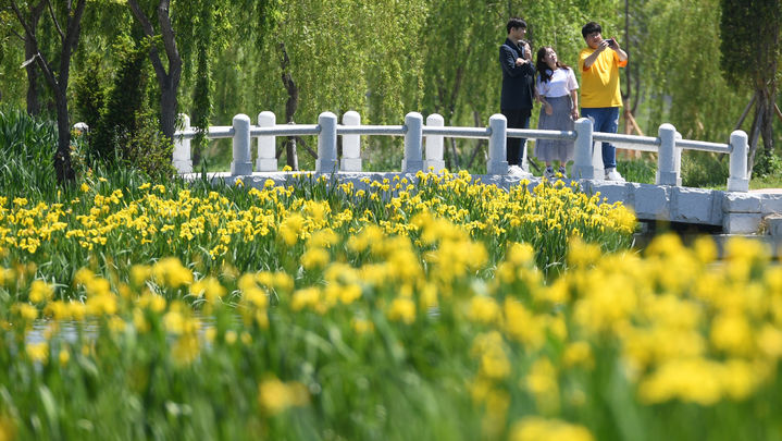 [거창=뉴시스] 거창 창포원 (사진=거창군 제공) 2026. 04. 24. photo@newsis.com *재판매 및 DB 금지