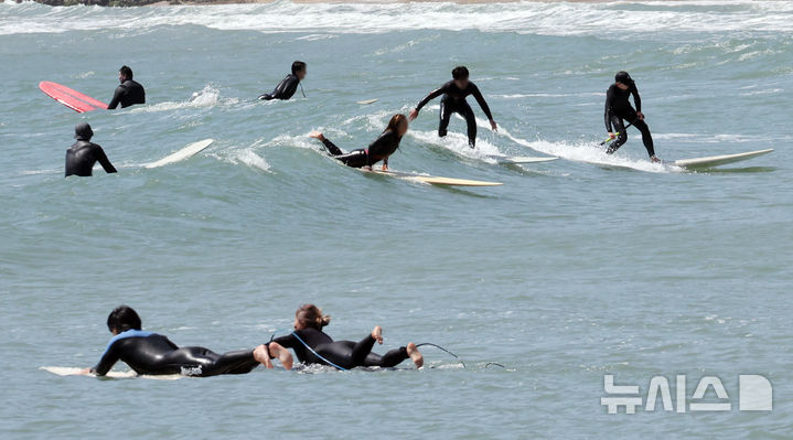  [부산=뉴시스] 하경민 기자 = 포근한 날씨를 보인 24일 부산 해운대구 송정해수욕장에서 서퍼들이 높은 파도를 즐기고 있다. 2026.04.24. yulnetphoto@newsis.com