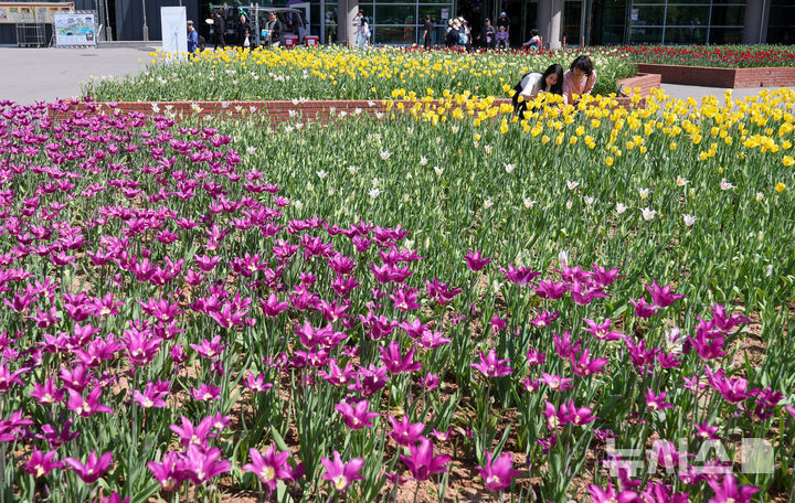 [고양=뉴시스] 황준선 기자 = 24일 경기 고양시 일산호수공원에서 개막한 2026 고양국제꽃박람회를 찾은 관람객들이 꽃을 관람하고 있다.  2026.04.24. hwang@newsis.com