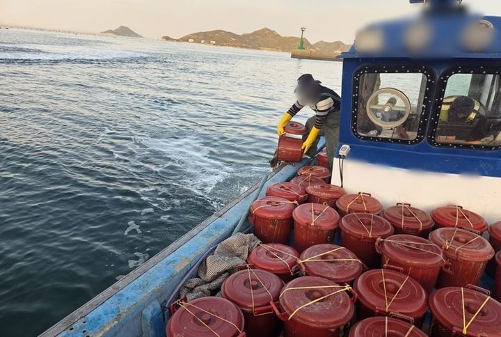 군산해경, 무허가로 해삼 1120㎏ 조업한 일당 검거
