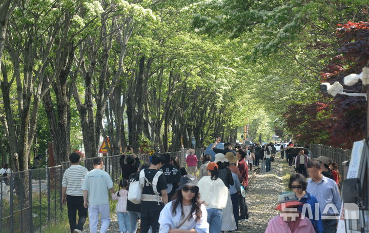 [전주=뉴시스] 김얼 기자 = 2026 전주 이팝나무 축제가 한창인 25일 전북 전주시 팔복예술공장 옆 철길을 찾은 시민들로 일대가 북적이고 있다. 2026.04.25. pmkeul@newsis.com