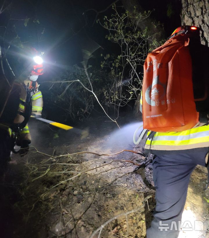 [봉화=뉴시스] 안병철 기자 = 25일 오후 5시45분께 경북 봉화군 춘양면 석현리 한 야산에서 화재가 발생했다.(사진=경북소방본부 제공) 2026.04.25. photo@newsis.com