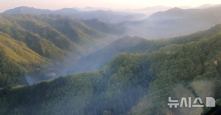 [영동=뉴시스] 충북 영동 산불 (사진=산림청 제공)