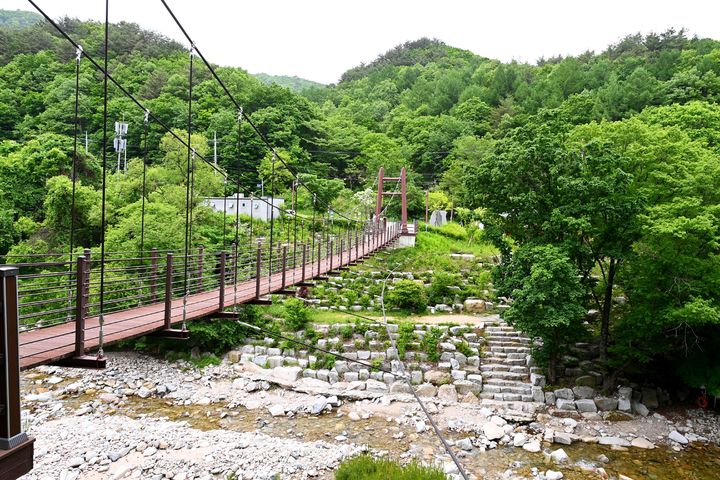 [안동=뉴시스] 김천시 청암사 인현왕후길. (사진=경북도 제공) 2026.04.26. photo@newsis.com *재판매 및 DB 금지