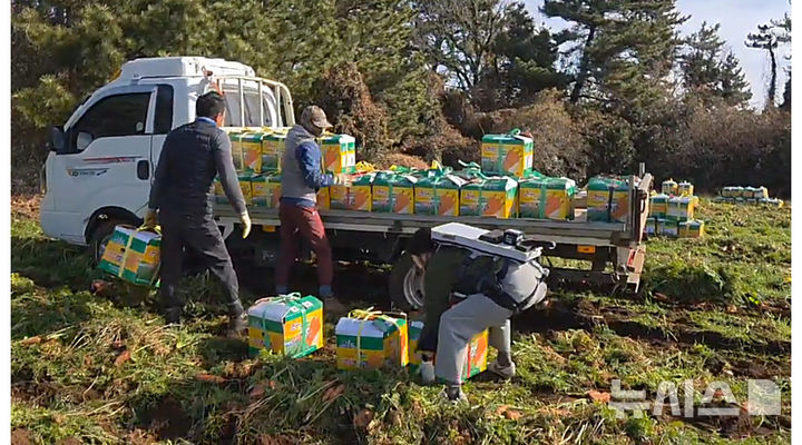 [제주=뉴시스] 제주도 농가 대상 웨어러블 로봇 자료사진. (사진=제주도 제공) 2026.04.26. photo@newsis.com