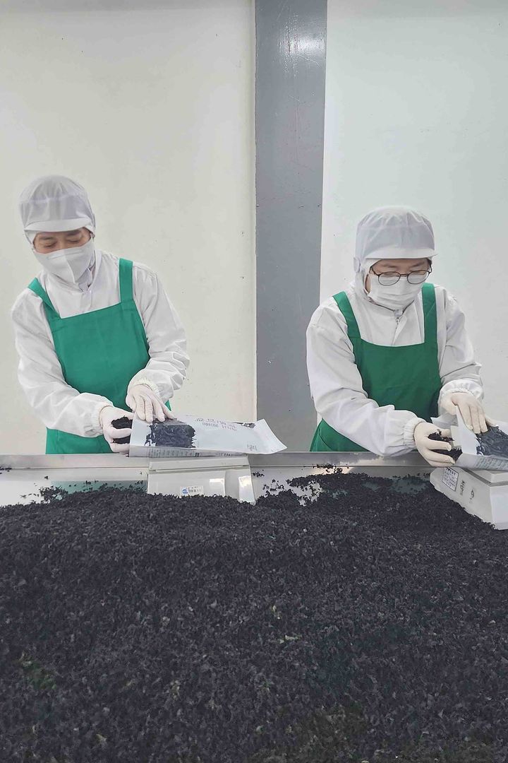 [서울=뉴시스] 주식회사 주일 직원들이 일하는 모습. (사진=쿠팡 제공) *재판매 및 DB 금지