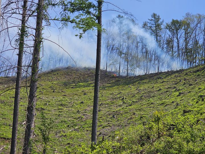 충주 삼태산 산불(사진=충주소방서 제공) *재판매 및 DB 금지