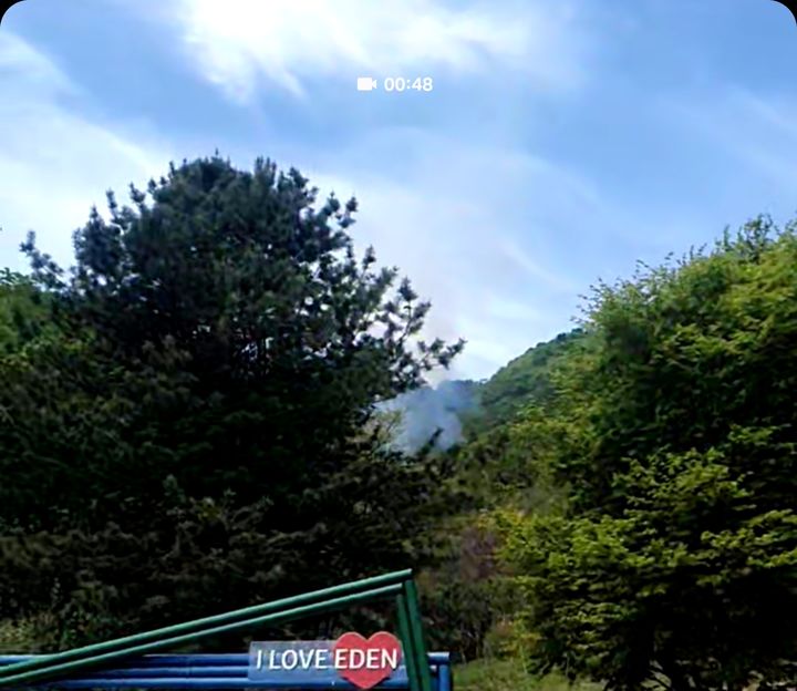 수동면 산불 현장. (사진=산림청 제공) photo@newsis.com *재판매 및 DB 금지