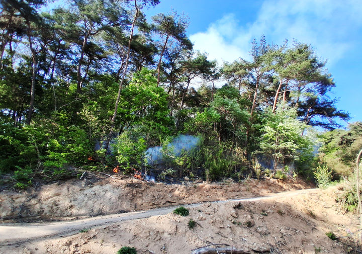 [광주=뉴시스] 26일 오후 4시40분께 광주 광산구 왕동 용진산 초입에서 산불이 발생해 산림 당국에 의해 32분 만에 꺼졌다. (사진 = 산림청 제공) 2026.04.26. photo@newsis.com *재판매 및 DB 금지