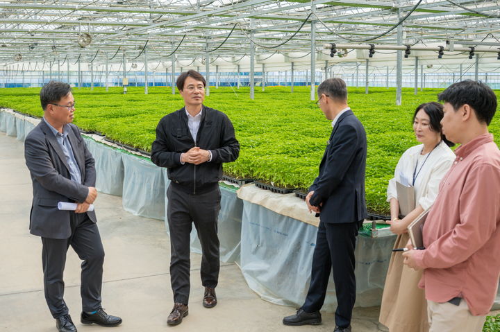 [청양=뉴시스] 조명휘 기자 = 전상욱(왼쪽 두번째) 청양군 부군수가 고추육묘장을 찾아 시설을 살펴보고 있다. (사진= 청양군 제공) 2026.04.27. photo@newsis.com *재판매 및 DB 금지