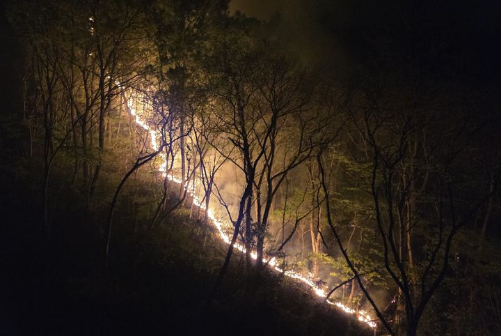 [서천=뉴시스] 27일 오전 1시22분께 충남 서천군 비인면 성북리 안치저수지 인근에서 산불이 나 불길이 번지고 있다. (사진=서천소방서 제공) 2026.04.47. photo@newsis.com *재판매 및 DB 금지