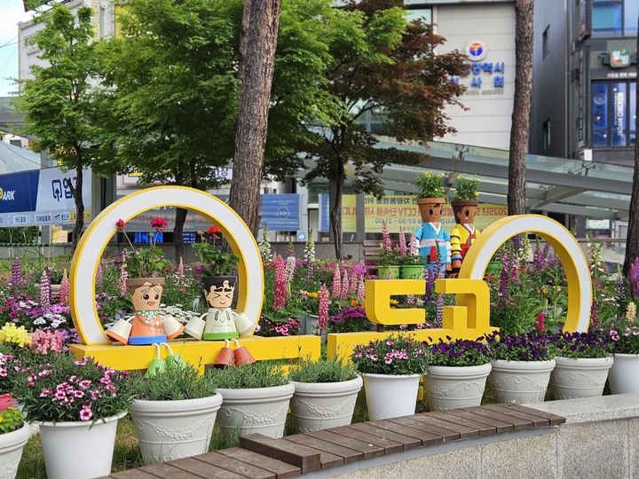 [대전=뉴시스] 대전 중구가 성심당 인근 우리들공원에 조성한 작은 장원. (사진= 중구청 제공) *재판매 및 DB 금지