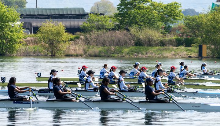 충주 아시안컵조정서 한국팀 금메달 14개 - 뉴스 썸네일 이미지